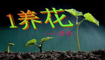 養花概括主要內容