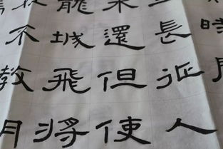 養花仿寫(xiě)300字
