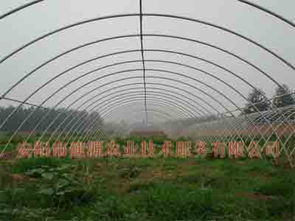 專(zhuān)業(yè)建造養花大棚