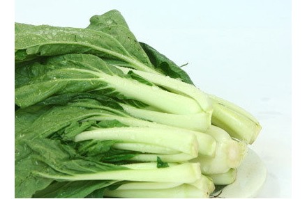 士豆皮堆肥養花有什么效果