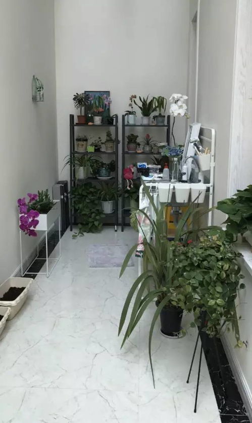 走廊養花