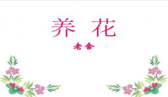 養花老舍心得體會(huì )