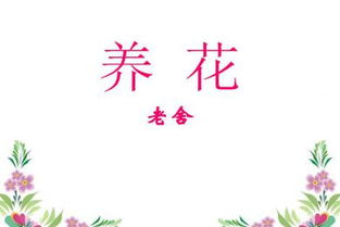 免費養花課件ppt