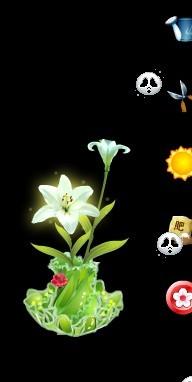 qq空間養花藤怎么讓它不顯示