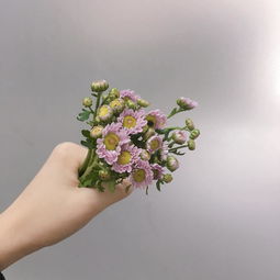 《養花》片段