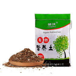 天貓淘寶買(mǎi)養花的土