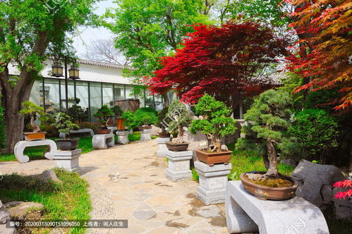 養花養鳥(niǎo)小溫室