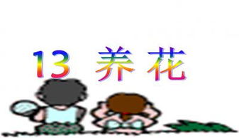養花課程ppt
