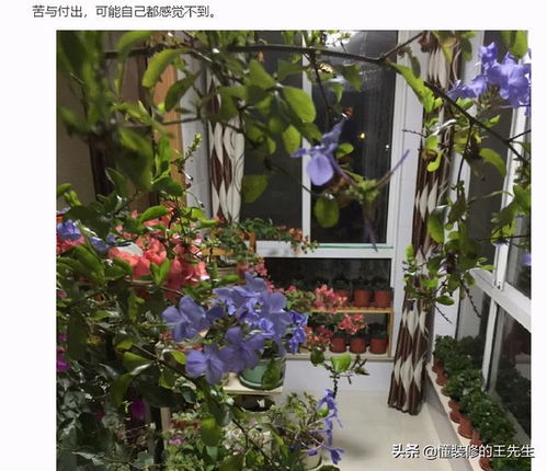 喜歡養花的男人豆瓣