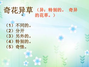 養花一篇課文