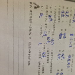 仿寫(xiě)老舍養花600字