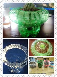 用家里的塑料瓶做養花盆
