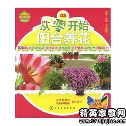 養花讀后感150