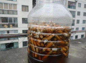 煙頭怎么養花