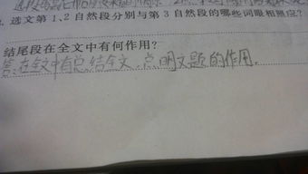 養花第七自然段在文中的作用是什么