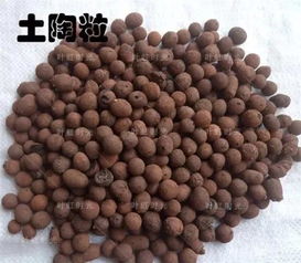 花盆底兒沒(méi)洞能養花嗎