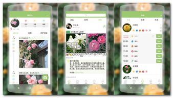 專(zhuān)門(mén)指導養花的平臺