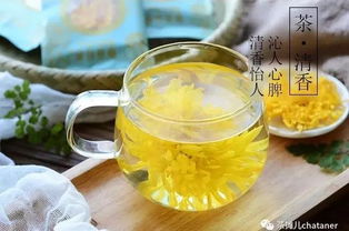 花養花金絲皇菊