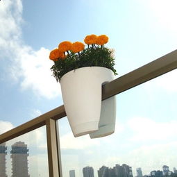 欄桿護欄上養花的花盆