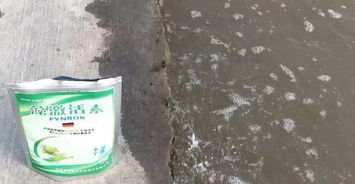 養花的水變長(cháng)了藻是哪種藻