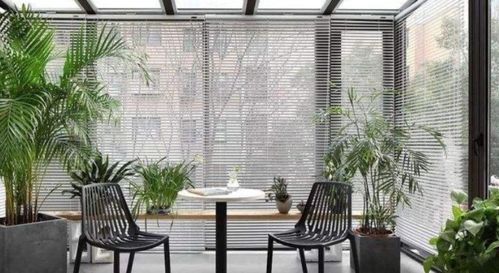 可以用燈光代替太陽(yáng)養花