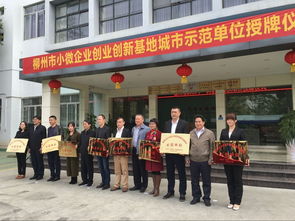 柳州市柳東創(chuàng)業(yè)創(chuàng)新服務