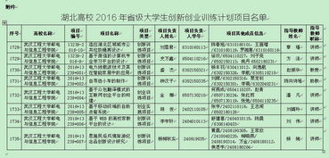 大學(xué)大學(xué)生創(chuàng  )新創(chuàng  )業(yè)訓練計劃項目管理辦法