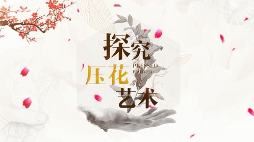 大學(xué)生創(chuàng  )新創(chuàng  )業(yè)基礎教育智慧樹(shù)答案