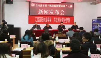酉陽(yáng)縣創(chuàng  )業(yè)創(chuàng  )新的案例分析
