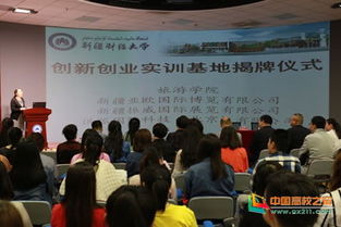 吉林財經(jīng)大學(xué)新經(jīng)濟創(chuàng  )新創(chuàng  )業(yè)實(shí)訓中心,吉林財經(jīng)大學(xué)創(chuàng  )新創(chuàng  )業(yè)教育學(xué)院,吉林財經(jīng)大學(xué)創(chuàng  )新創(chuàng  )業(yè)學(xué)院