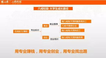 創(chuàng  )新創(chuàng  )業(yè)中心信息管理系統功能,創(chuàng  )新創(chuàng  )業(yè)中心信息管理系統課程設計,創(chuàng  )新創(chuàng  )業(yè)項目信息管理系統