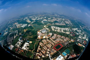 番禺,大學(xué)城,創(chuàng  )新,創(chuàng  )業(yè)