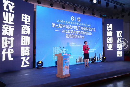 創(chuàng  )新創(chuàng  )業(yè)農村電商提問(wèn)