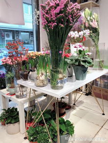 花店創(chuàng  )新創(chuàng  )業(yè)項目計劃書(shū),花店創(chuàng  )新創(chuàng  )業(yè)項目計劃書(shū)PPT,花店創(chuàng  )新創(chuàng  )業(yè)項目計劃書(shū)怎么寫(xiě)