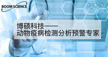 食品專(zhuān)業(yè)大學(xué)生創(chuàng  )新創(chuàng  )業(yè),歷史專(zhuān)業(yè)大學(xué)生創(chuàng  )新創(chuàng  )業(yè),大學(xué)生創(chuàng  )新創(chuàng  )業(yè)自我介紹