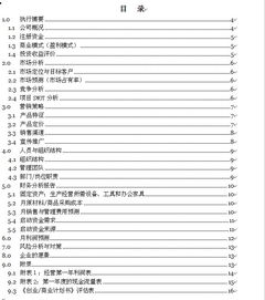 眼鏡創(chuàng  )新創(chuàng  )業(yè)計劃書(shū)