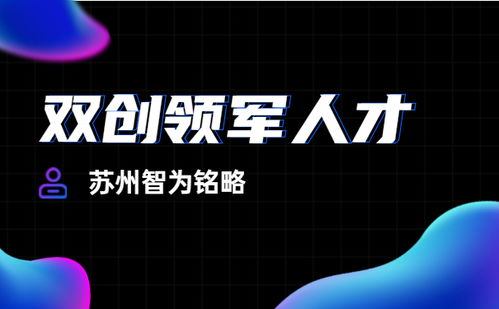 東吳科技創(chuàng)新創(chuàng)業(yè)計(jì)劃書(shū)