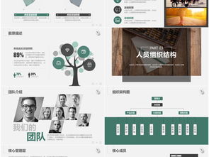 創(chuàng  )新創(chuàng  )業(yè)項目宣講PPT