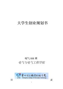 大學(xué)生創(chuàng  )新創(chuàng  )業(yè)優(yōu)秀策劃書(shū)