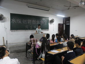 競選,部長(cháng),發(fā)言,創(chuàng  )新