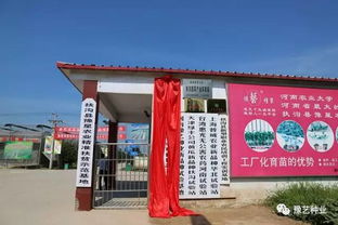 農業(yè)大學(xué),河南,創(chuàng  )新,創(chuàng  )業(yè)