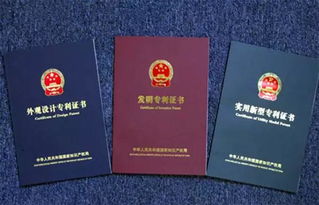 創(chuàng  )新創(chuàng  )業(yè)學(xué)分買(mǎi)專(zhuān)利,創(chuàng  )新創(chuàng  )業(yè)學(xué)分專(zhuān)利怎么認定,創(chuàng  )新學(xué)分買(mǎi)專(zhuān)利