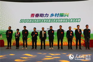 農業(yè)的創(chuàng  )新創(chuàng  )業(yè)項目,互聯(lián)網(wǎng)+農業(yè)創(chuàng  )新創(chuàng  )業(yè)項目,農業(yè)創(chuàng  )新創(chuàng  )業(yè)項目計劃書(shū)