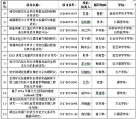 國家級創(chuàng  )新創(chuàng  )業(yè)項目名單