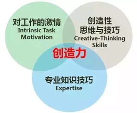 對創(chuàng  )業(yè)創(chuàng  )新的認識或見(jiàn)解