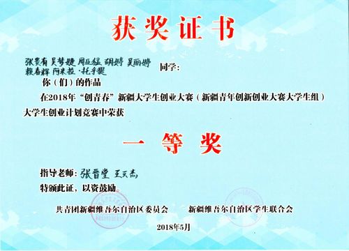 計劃書(shū),獲獎,案例,挑戰杯
