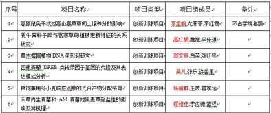 創(chuàng  )業(yè)項目,劃分,級別,創(chuàng  )新