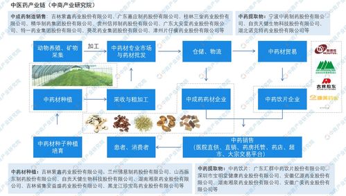 中醫藥創(chuàng  )新創(chuàng  )業(yè)的前景