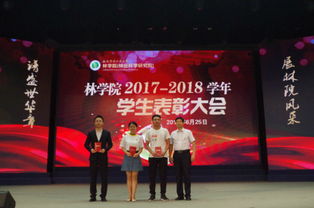 評語(yǔ),先進(jìn)個(gè)人,創(chuàng  )新,創(chuàng  )業(yè)