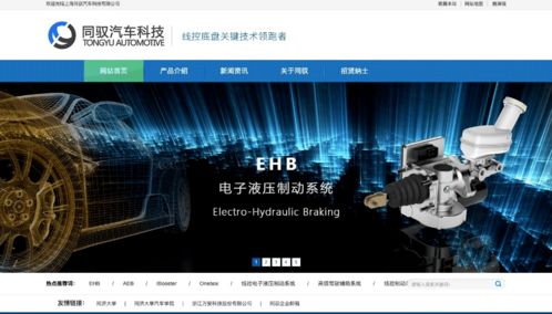 創(chuàng  )新創(chuàng  )業(yè)項目管理團隊怎么寫(xiě)